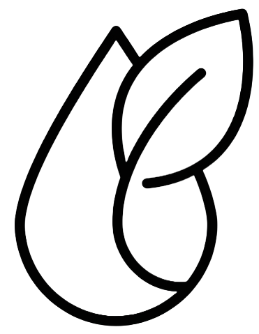 firefly removebackground
